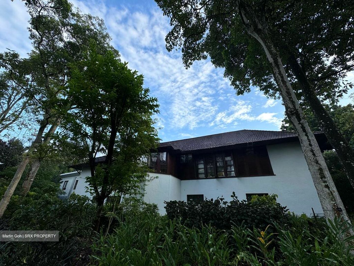 College Green (D11), Detached #497622351